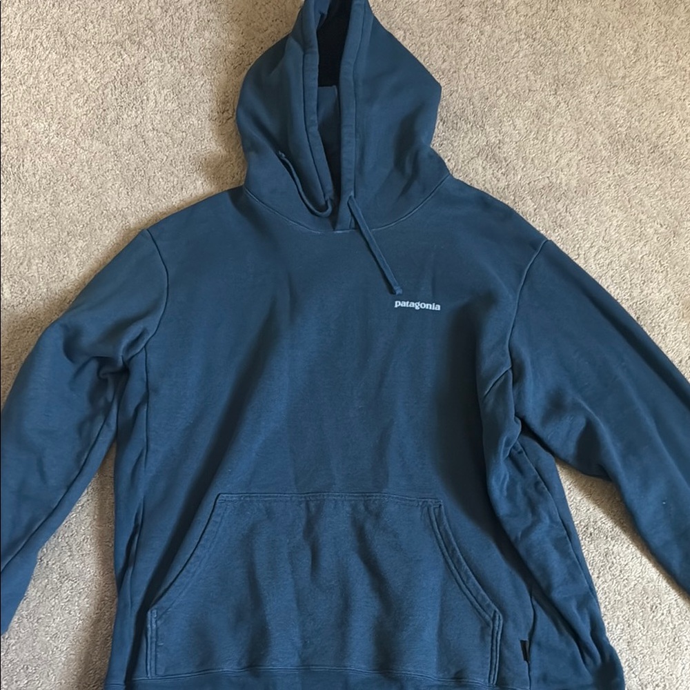 Patagonia Blue Sweatshirt Classic Hoodie